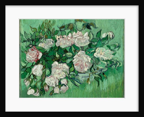 Pink Roses by Anonymous