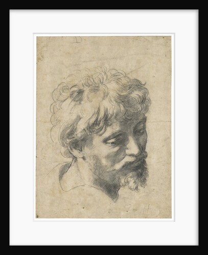 Head of a Young Apostle by Anonymous