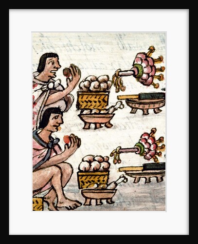 Aztec cuisine by Anonymous