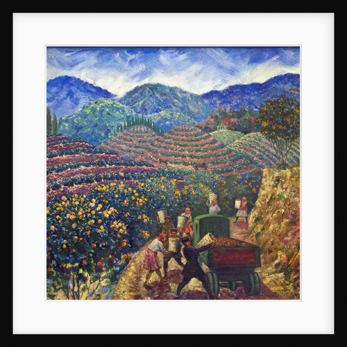 The Harvest in Chakva sovkhoz by Anonymous