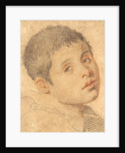Head of a Boy by Anonymous