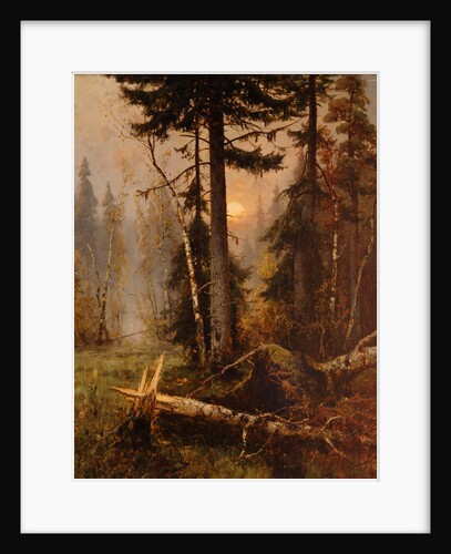 Forest Thicket by Anonymous