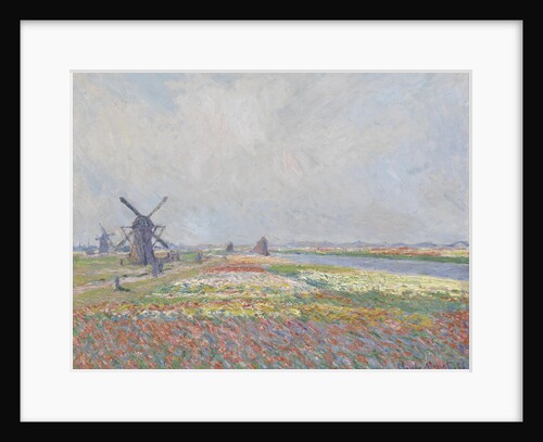 Tulip fields near The Hague by Anonymous