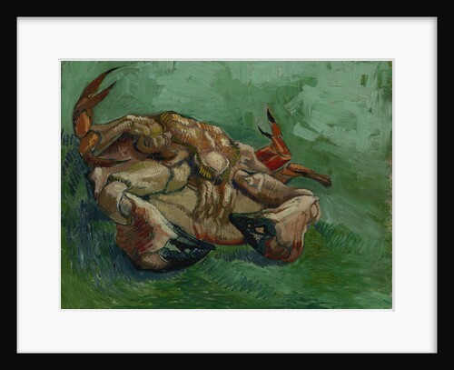 A Crab on its Back by Anonymous