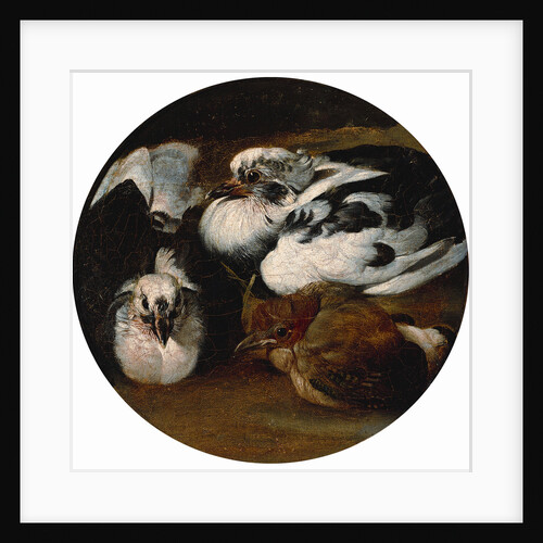 Two doves and a thrush by Anonymous