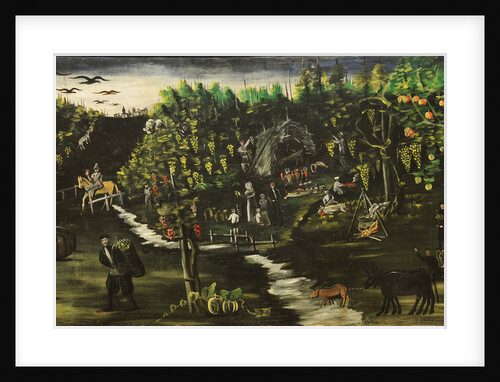 Harvesting grapes by Anonymous