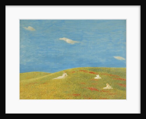 Meadow by Anonymous