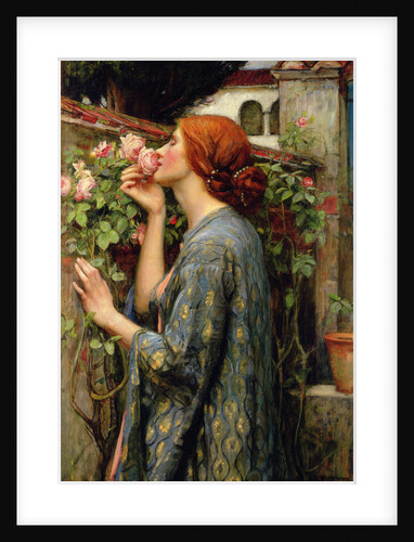 The Soul of the Rose by Anonymous