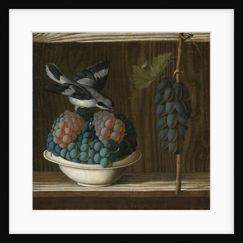 Still Life with Grapes and a gray shrike (Allegory of Painting) by Anonymous