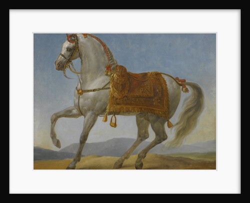 Marengo, the horse of Napoleon I of France by Anonymous