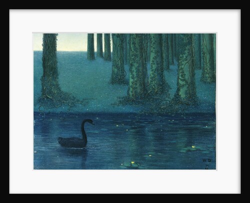 The black swan by Anonymous