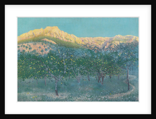 Lemon trees, Mallorca by Anonymous