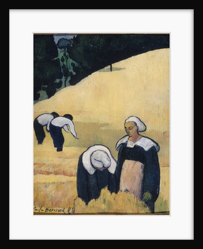 The Harvest by Anonymous