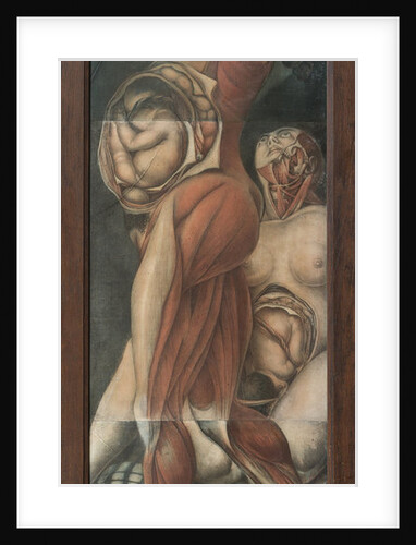 Two pregnant women by Anonymous