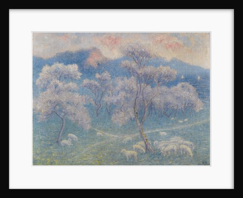 Sheeps and almond blossoms by Anonymous