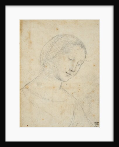 Study of a Woman by Anonymous