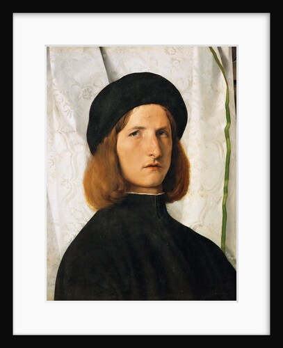 Portrait of a Young Man against a White Curtain by Anonymous