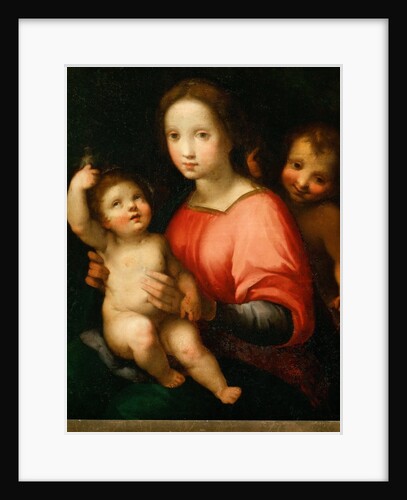Virgin and child with John the Baptist as a Boy by Anonymous