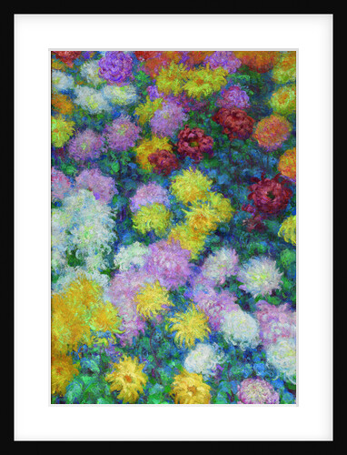 Chrysanthemums, 1897 by Anonymous