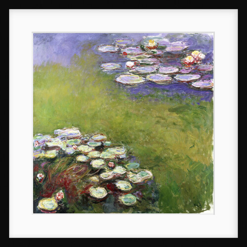 Waterlilies (Nymphéas), 1914-1917 by Anonymous