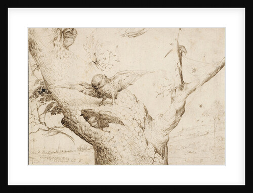The Owls Nest, ca. 1505-1510 by Anonymous