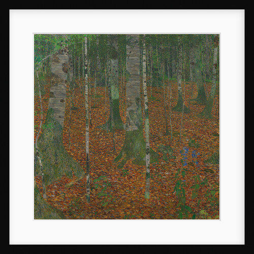 Birch Forest, 1903 by Anonymous