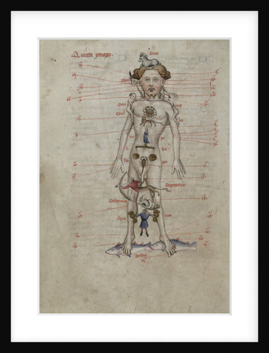 A Zodiac Man diagram showing the seasons for bloodletting by Anonymous