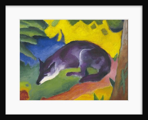 Blue-Black Fox, 1911 by Anonymous