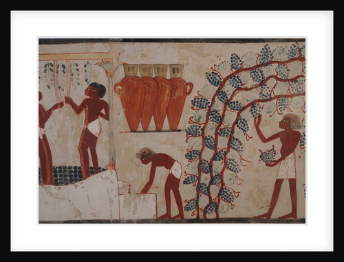 Harvesting grapes and Winemaking. The Tomb of Nakht, ca 1380 BC by Anonymous