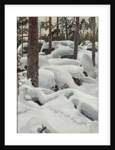 The Lair of the Lynx, 1908 by Anonymous