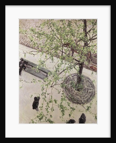 Boulevard Seen from Above, 1880 by Anonymous