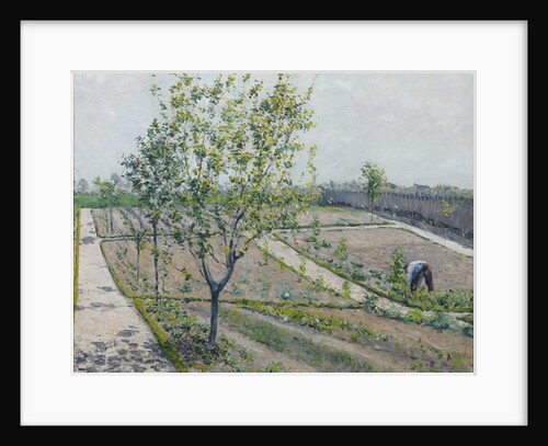 Kitchen Garden, Petit Gennevilliers, 1881-1882 by Anonymous