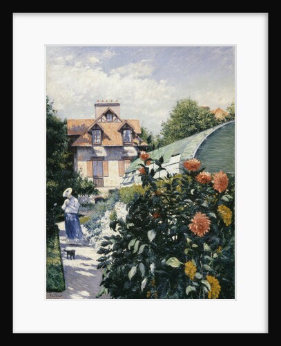 Dahlias, Garden at Petit Gennevilliers, 1893 by Anonymous