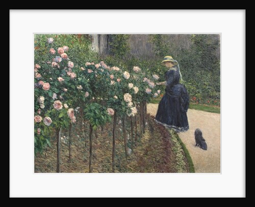 Roses, Garden at Petit Gennevilliers, 1886 by Anonymous