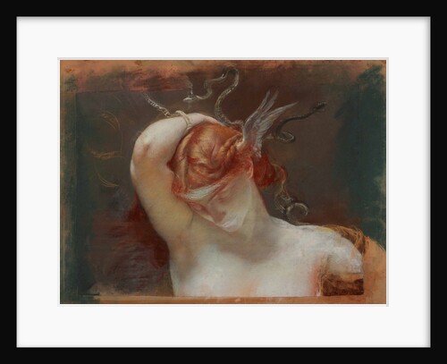 Head of Gorgon, 1895 by Anonymous