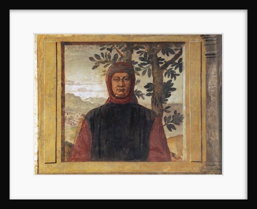 Francesco Petrarca by Anonymous