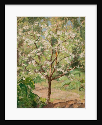 Blooming apple tree, 1924 by Anonymous