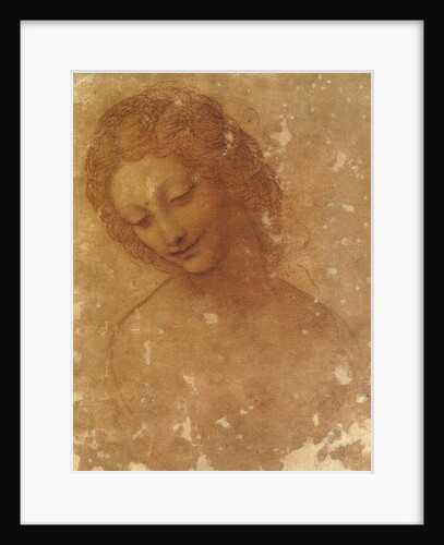 Head of Leda, c. 1510 by Anonymous