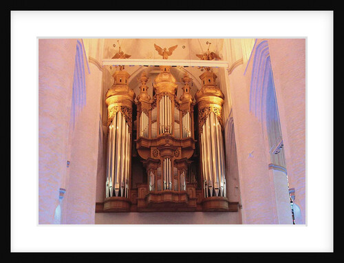 The Organ in the St. Catherines Church in Hamburg by Anonymous