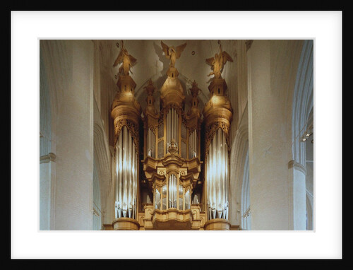 The Organ in the St. Catherines Church in Hamburg by Anonymous