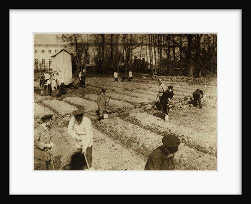 Tsar Nicholas II and family gardening at Alexander Palace during internment at Tsarskoye Selo, 1917, by Anonymous