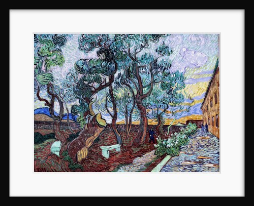 The garden of the hospital at Saint-Rémy, 1889 by Anonymous