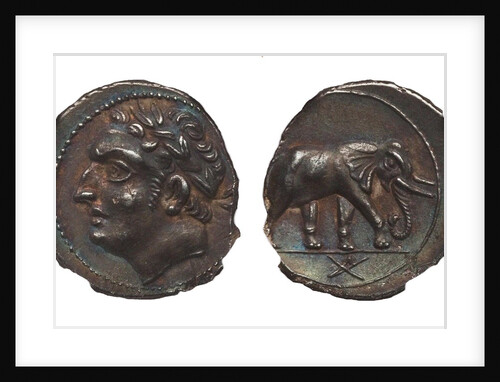 Coin of Hannibal Barca. Carthage. (Obverse: Hannibal, Reverse: Elephant), ca. 213-210 BC by Anonymous