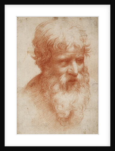 Bearded mans head, c. 1525 by Anonymous