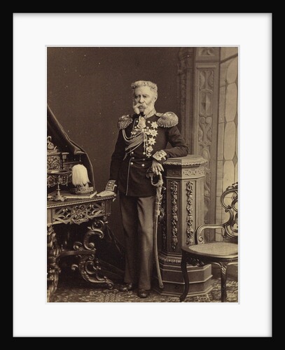 Portrait of Count Vladimir Fyodorovich Adlerberg, 1874 by Anonymous