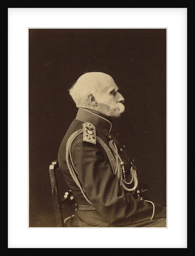 Portrait of Count Fyodor Petrovich Litke, 1874 by Anonymous