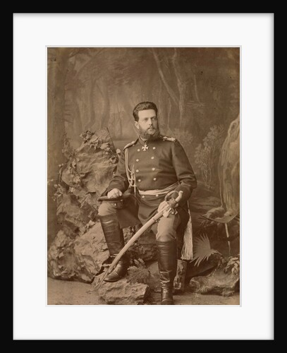 Portrait of Grand Duke Vladimir Alexandrovich of Russia, ca 1878 by Anonymous