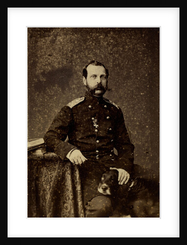 Portrait of Emperor Alexander II, 1873 by Anonymous