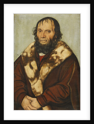 Portrait of Johannes Scheyring, 1529 by Anonymous