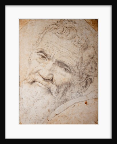 Portrait of Michelangelo Buonarroti, c. 1550 by Anonymous